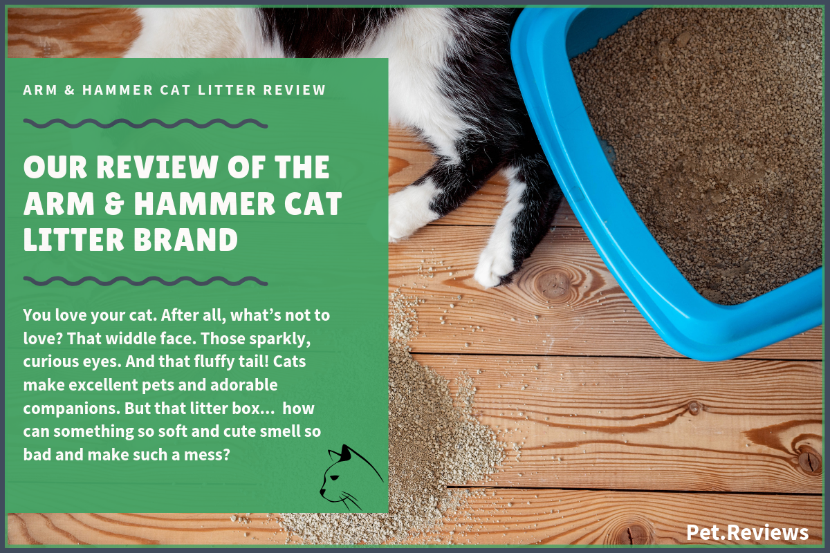 arm & hammer cat litter reviews