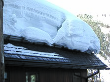 metal roof snow guard reviews