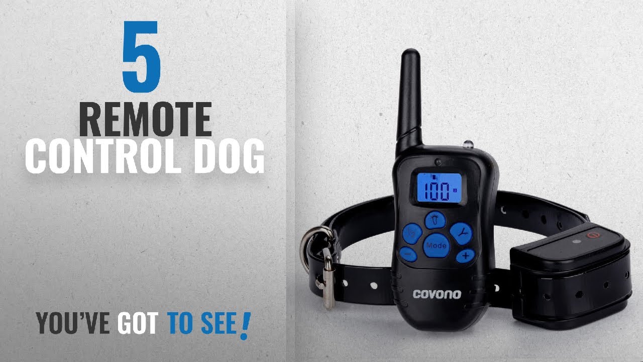 best dog shock collar with remote reviews