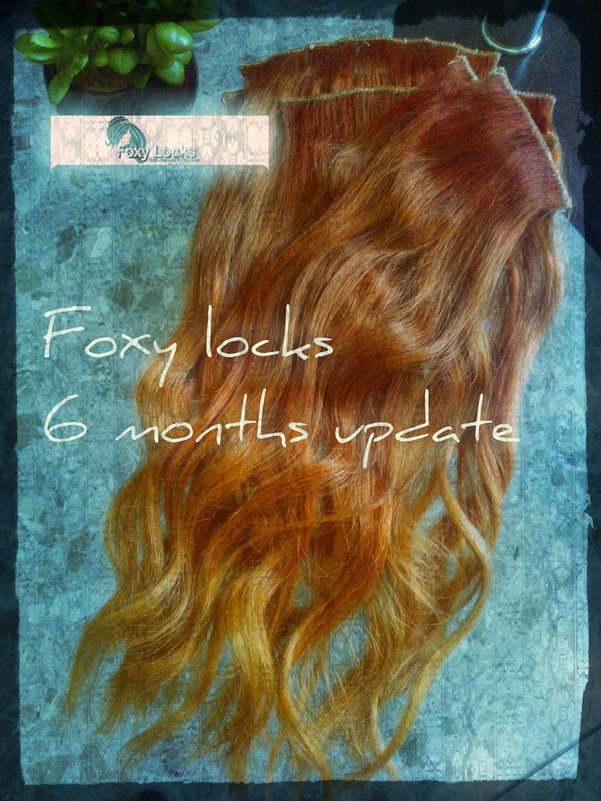 foxy locks deluxe extensions review